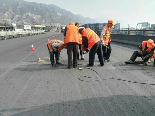 肃宁道路桥梁病害治理